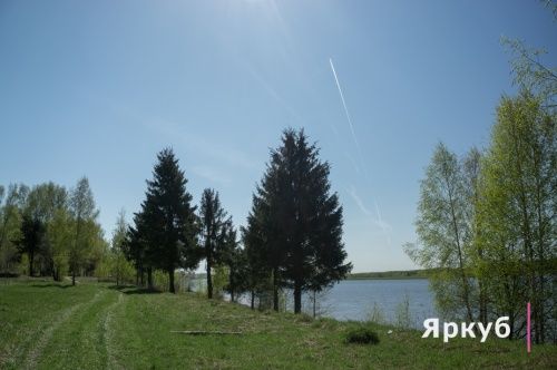 Область установила границы «зеленого пояса» для Ярославля