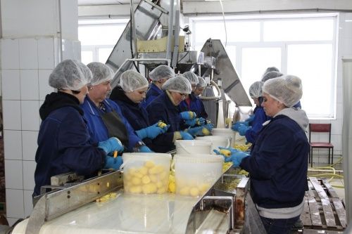 Поставщика еды в ярославские детские садики «Комбинат социального питания» оштрафовали за нарушения