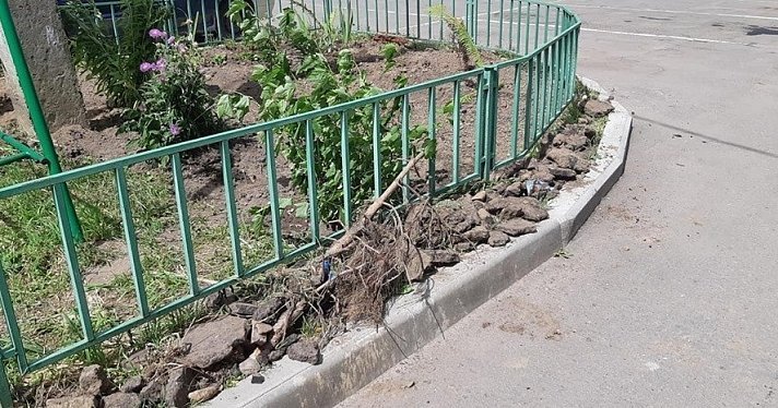 Отремонтированный по программе «Решаем вместе» двор на Блюхера, где подрядчик закопал строительный мусор в клумбы, проверит комиссия чиновников