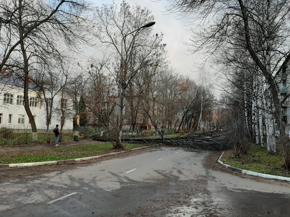 Из-за шквалистого ветра в Дзержинском районе Ярославля отключался свет и были перебои с водой и теплом