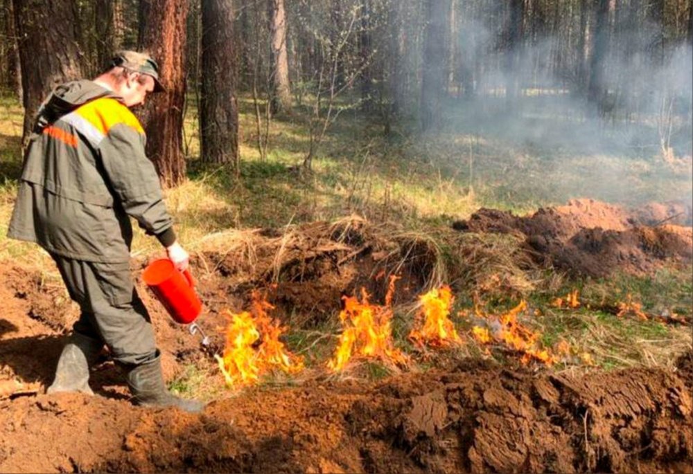 За сутки в Ярославской области более 63 тысяч гектаров земли пострадало от пожаров