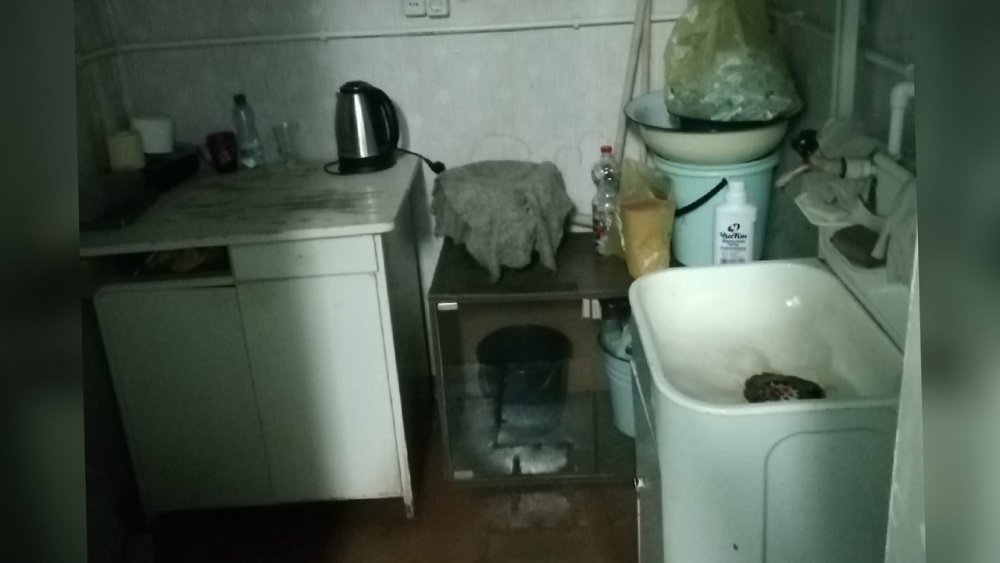 «С младенцами стоим в очереди на улице»: ярославцы рассказали о проблемах с медициной в поселке Щедрино