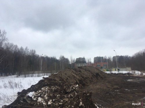 Замеры показали, что стройка рядом с Павловской рощей не нарушает границ природоохранной зоны