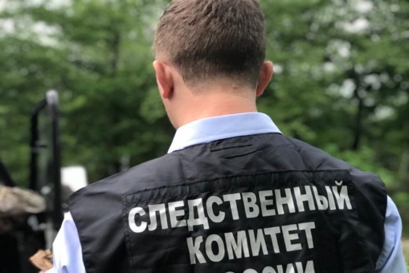 Следственный комитет проверит сообщения о незаконной вырубке леса в музее-заповеднике «Карабиха»