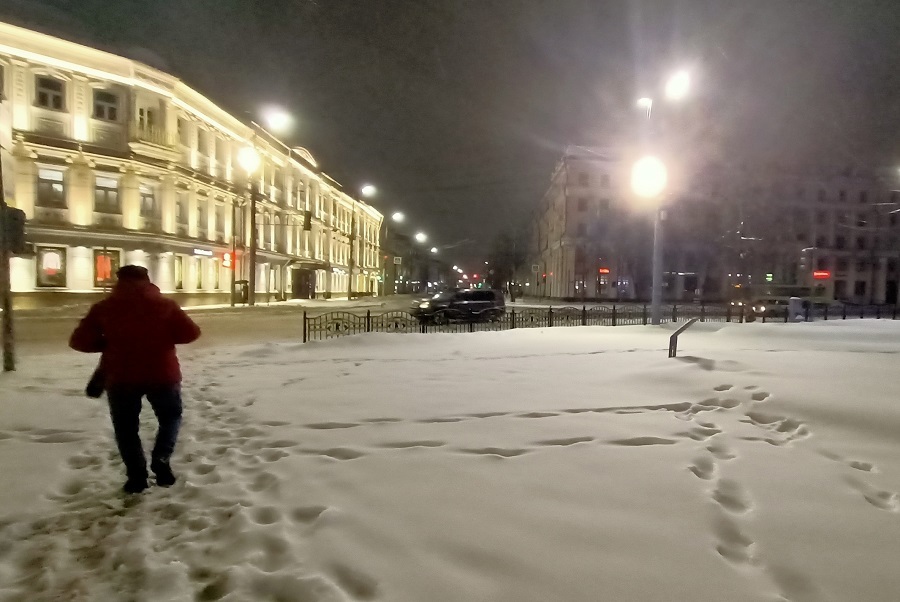 В помощь привлекут городские предприятия: мэр Ярославля рассказал об уборке города