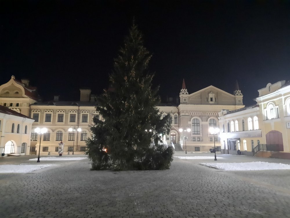 Администрация Рыбинска прокомментировала спиленную в черте города ель для Красной площади