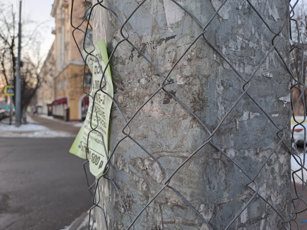 Столбы в клеточку: в Ярославле борются с рекламой на столбах и дорожных знаках, но этот метод плох