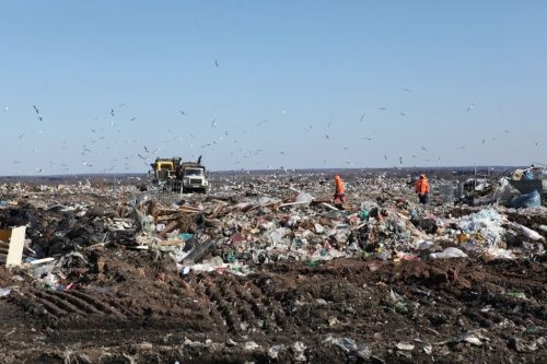 Экспертная группа взяла пробы воды и почвы на полигоне «Скоково»
