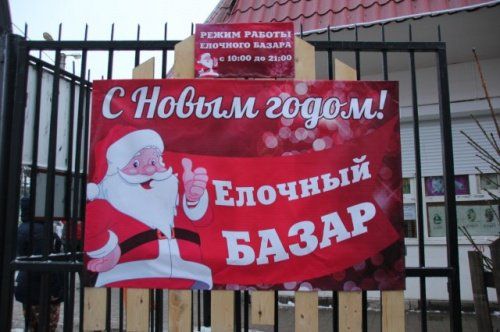 В Ярославле работают елочные базары