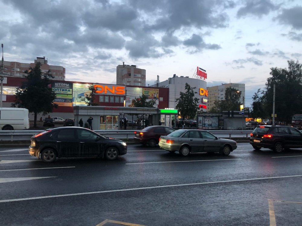 В Ярославской области произошло более 150 ДТП с участием лосей