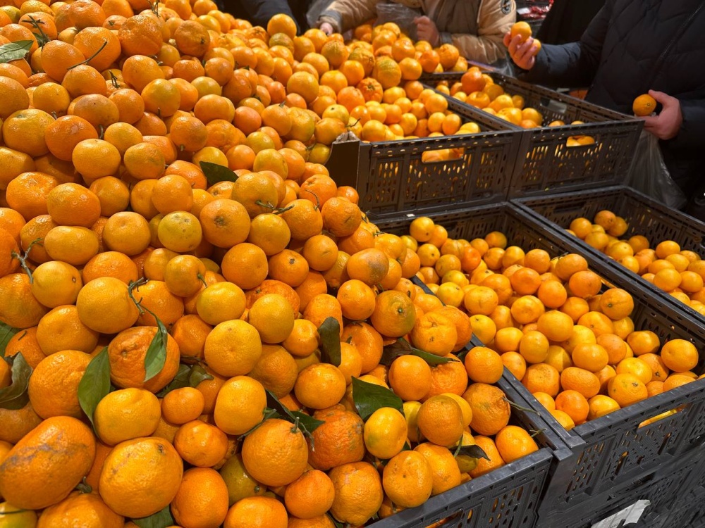Новогодний стол — 2023: сколько тысяч придется потратить на продукты в этом году?