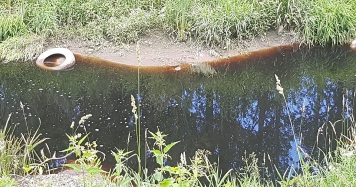 Власти подтвердили, что вода в Норе изменила цвет, и предварительно связали это с попаданием удобрений, а не свалочного фильтрата
