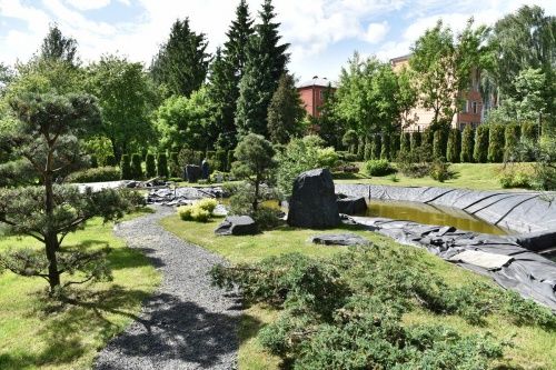 В Ботаническом саду ЯГПУ высадят аллею Золотого кольца