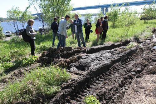 В Ярославле начали оценивать объемы и глубину залежей «зеленого масла» на берегу Волги