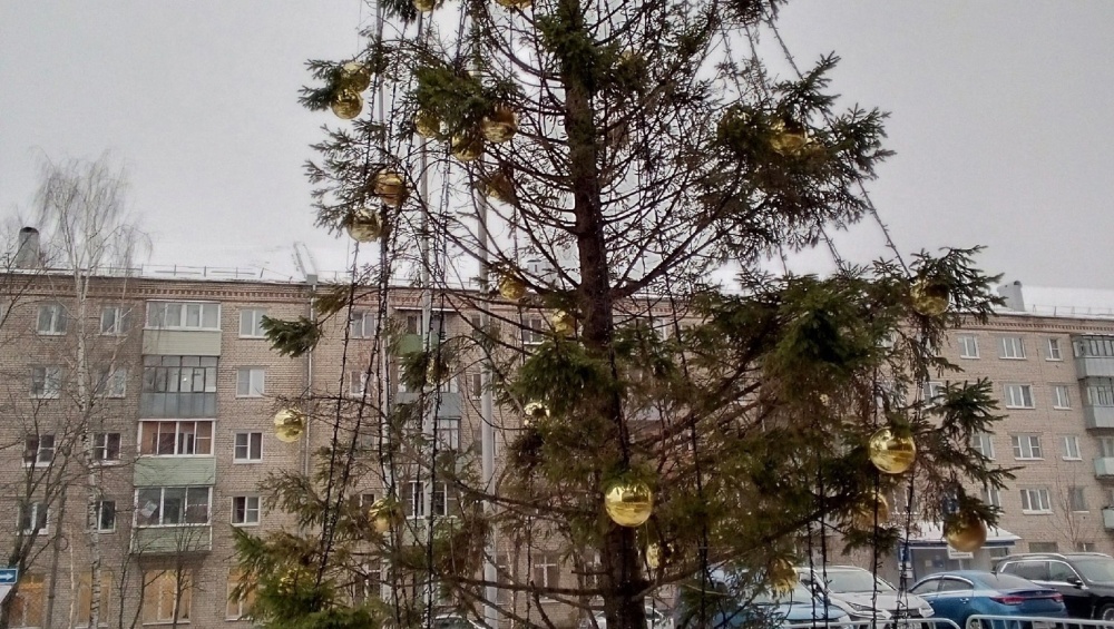 «У нее коронавирус»: администраторы ТЦ рассказали историю рыбинской елочки, вызвавшей резонанс в соцсетях