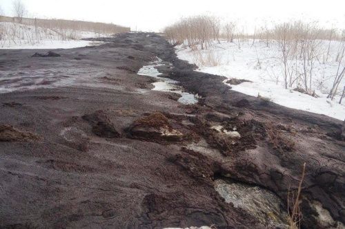 В Ярославской области куриный помет с птицефабрики вылился в реку