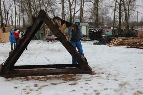Главы территориальных администраций Ярославля позвали горожан обсуждать проекты площадок для выгула собак