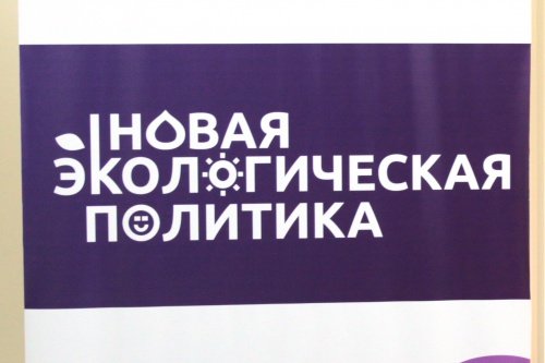 Уничтожение борщевика, платные парковки и запрет на ввоз мусора для захоронения: главное из утвержденной ярославским правительством концепции новой экологической политики