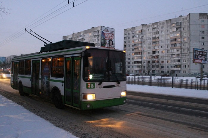 За удар током в троллейбусе жительница Ярославля отсудила более 150 тысяч рублей
