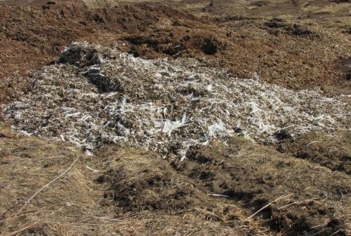 Поле в Ярославском районе превратили в склад куриного помета
