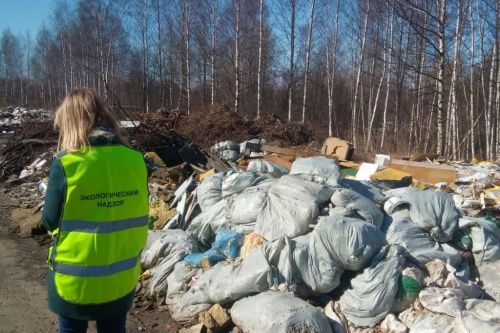 Ярославцам предложили стать инспекторами по охране природы