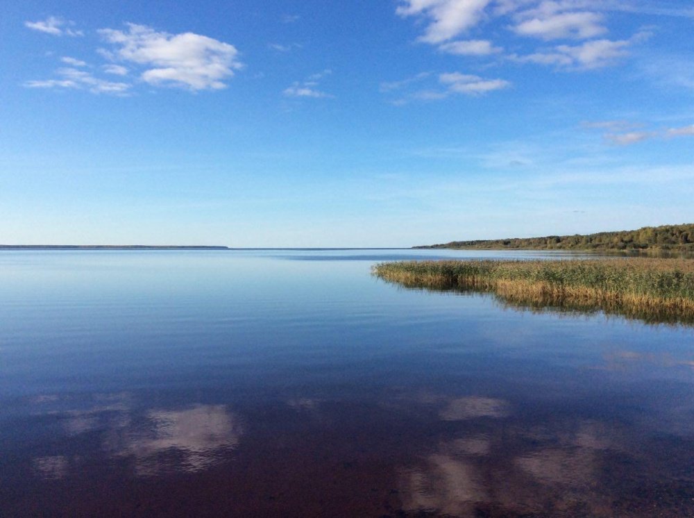 «Им все позволено». Почему на Рыбинском водохранилище нельзя строить ЦБК? Разбор