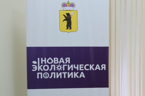 Власти: на реализацию новой экологической политики из бюджета Ярославской области направят 240 млн рублей