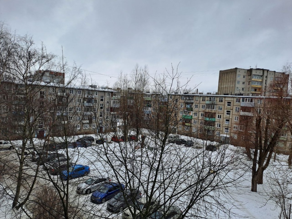 «Жить в районе стало страшно». Жители ярославского двора, в котором произошло зверское убийство, пожаловались на неадекватных соседей