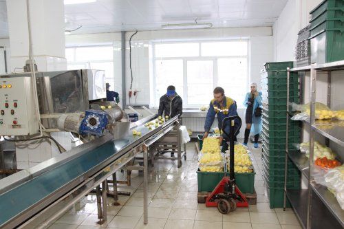 Комиссия проверила организацию питания в детских садах Ярославля