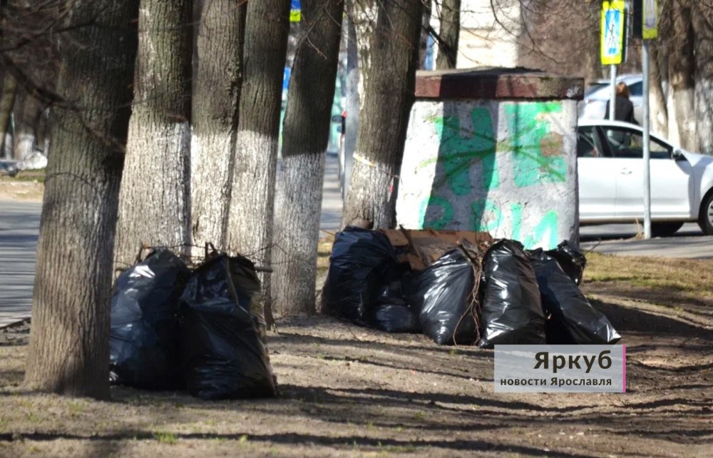 Собрали и оставили? Кто несет ответственность за вывоз мусора после субботников