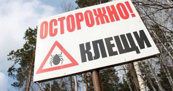 В Ярославской области наступил пик активности клещей