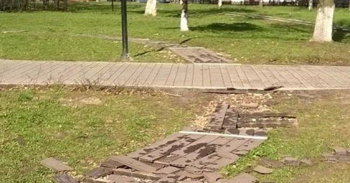 В Ярославле пройдет пикет с требованием благоустроить парк Мира