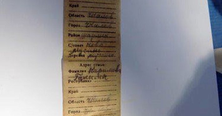Ярославские поисковики находят останки воинов Великой Отечественной войны 