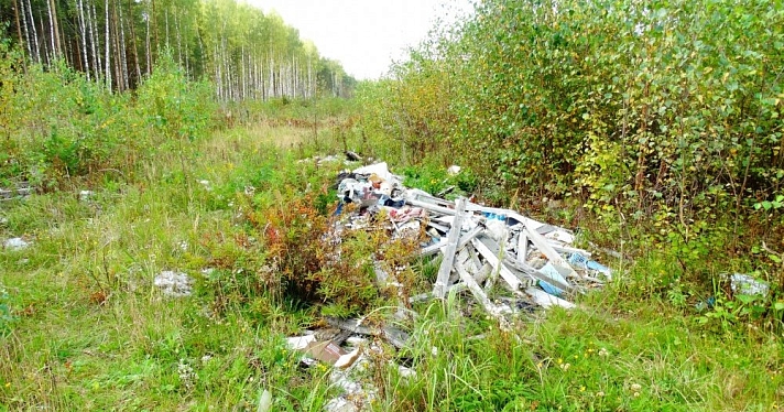 Фото дня. Стихийная свалка литературы на ярославском «Байкале»