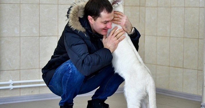 Фото дня. Мэр Ярославля Владимир Волков заключил в объятия молодую белую львицу Лавину_156653