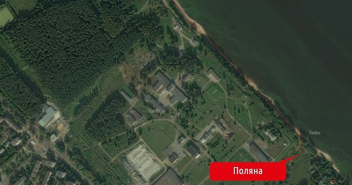 В Павловской роще Ярославля пройдет экопикник