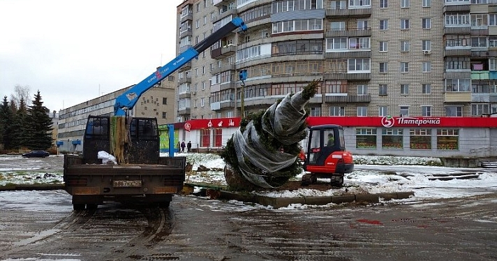 В Рыбинске к новогодним праздникам высадили живую ель: сколько стоит_169249