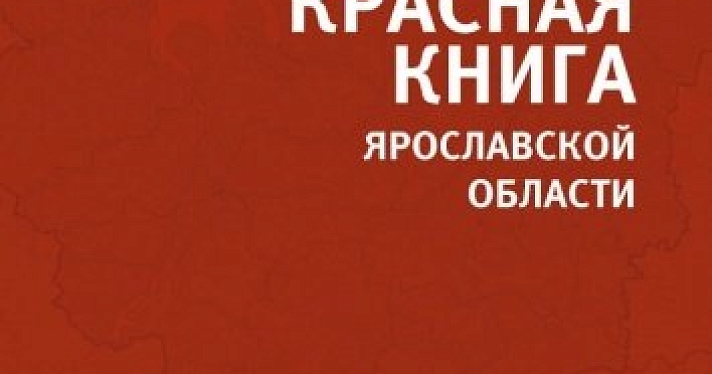 Дмитрий Миронов предложил штрафовать за уничтожение краснокнижных растений и животных