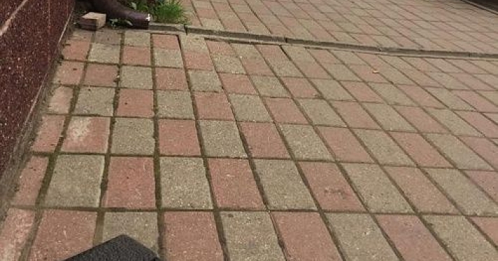 Ян Левин «положил» в Ярославле памятник потерянному бумажнику (в натуральную величину)