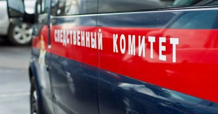 Установлены подростки, причастные к издевательствам над девочкой в Ярославской области