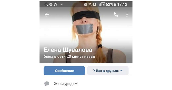 Родители рыбинских школьников развернули в соцсетях дискуссию об оформлении профиля учительницы русского и литературы. Педагог закрыла страницу, убрала статус и поменяла аватар_156886