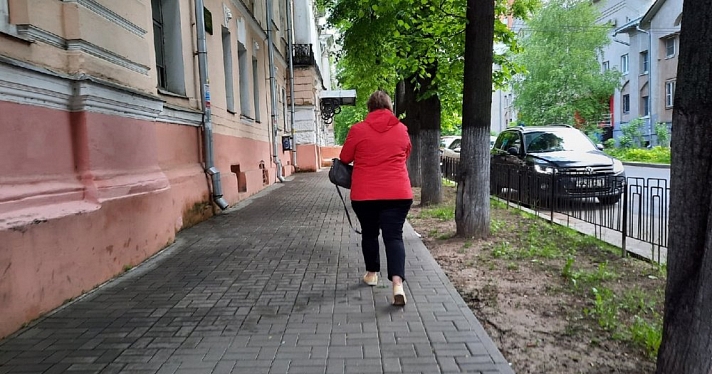 +11°C: какую погоду ждать ярославцам