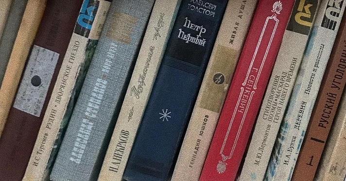В Ярославле открылась арт-полка для буккроссинга: где находится_169479