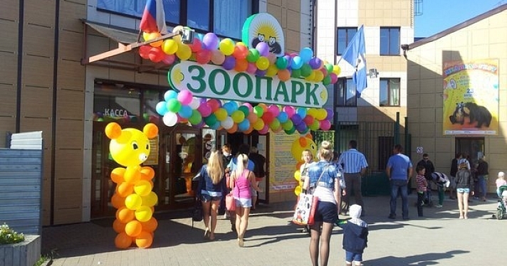 В Ярославском зоопарке родились детеныши альпак, макак, ланей и мархуров