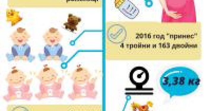 В 2016 году в Ярославской области родились 4 тройни и 163 двойни