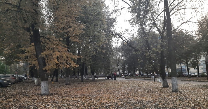 Заморозки будут? Прогноз погоды на неделю в Ярославле