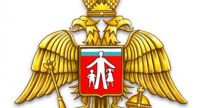 Среди жен иракских террористов обнаружили многодетную маму из Ярославской области