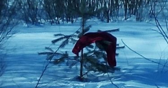 Поисковый отряд обнаружил тело пропавшей в Ярославской области Галины Талбиной