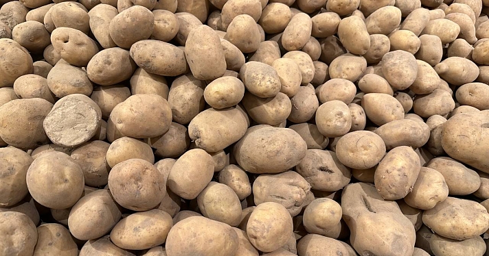 Новогодний стол — 2023: сколько тысяч придется потратить на продукты в этом году?_229893