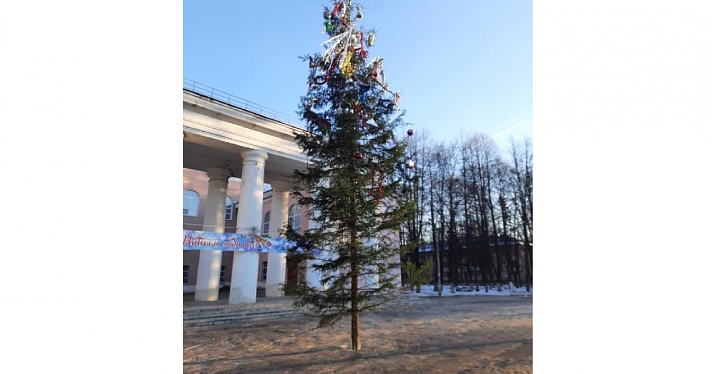 Фото дня. На Резинотехнике установили «не до конца нарядную» елку_169921